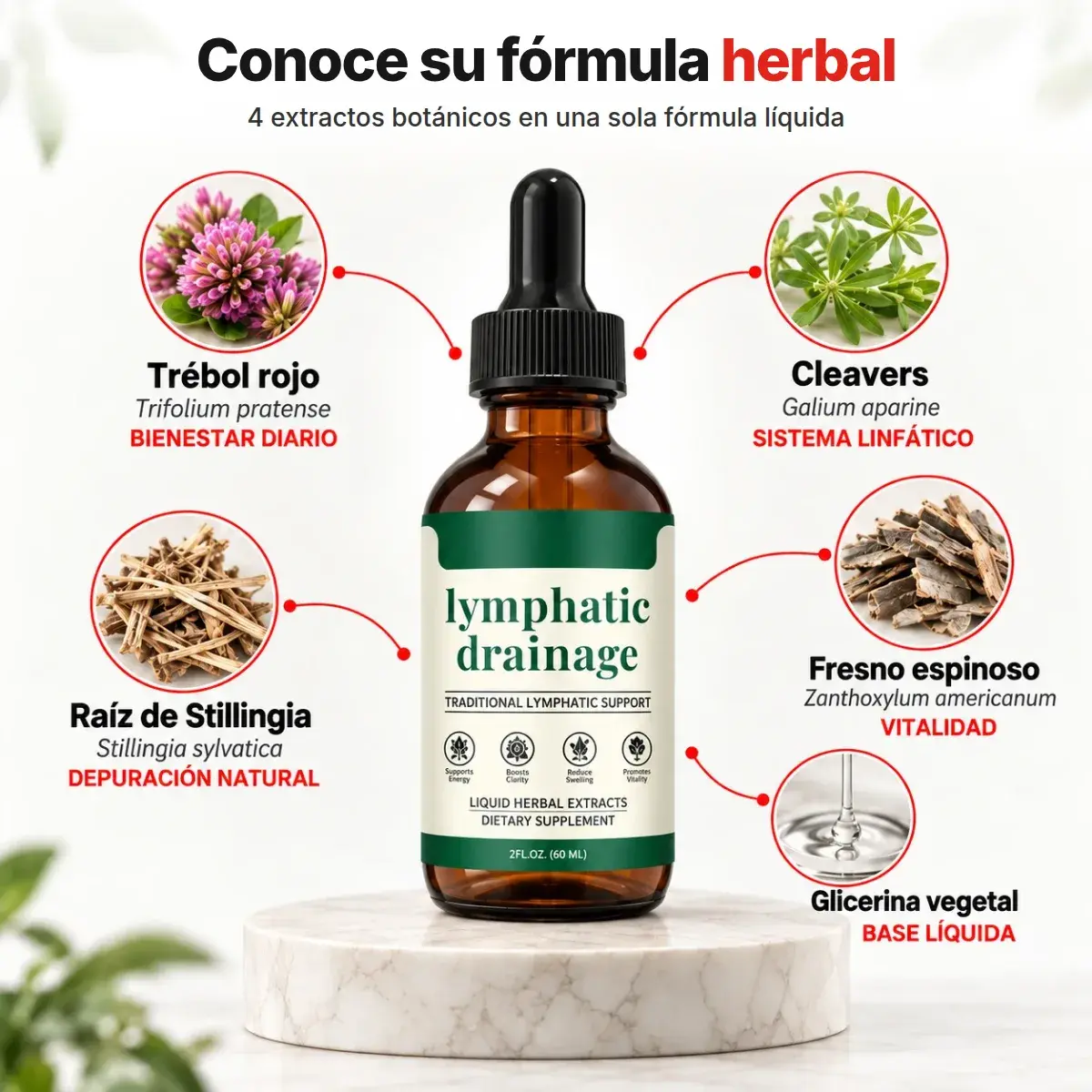 Lymphatic Drainage | Gotas Herbales